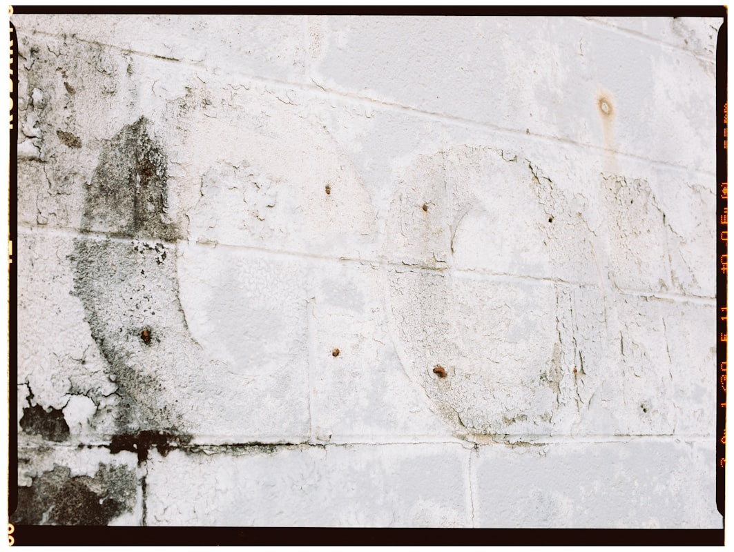 Basement Water Removal service in Palm Coast, FL