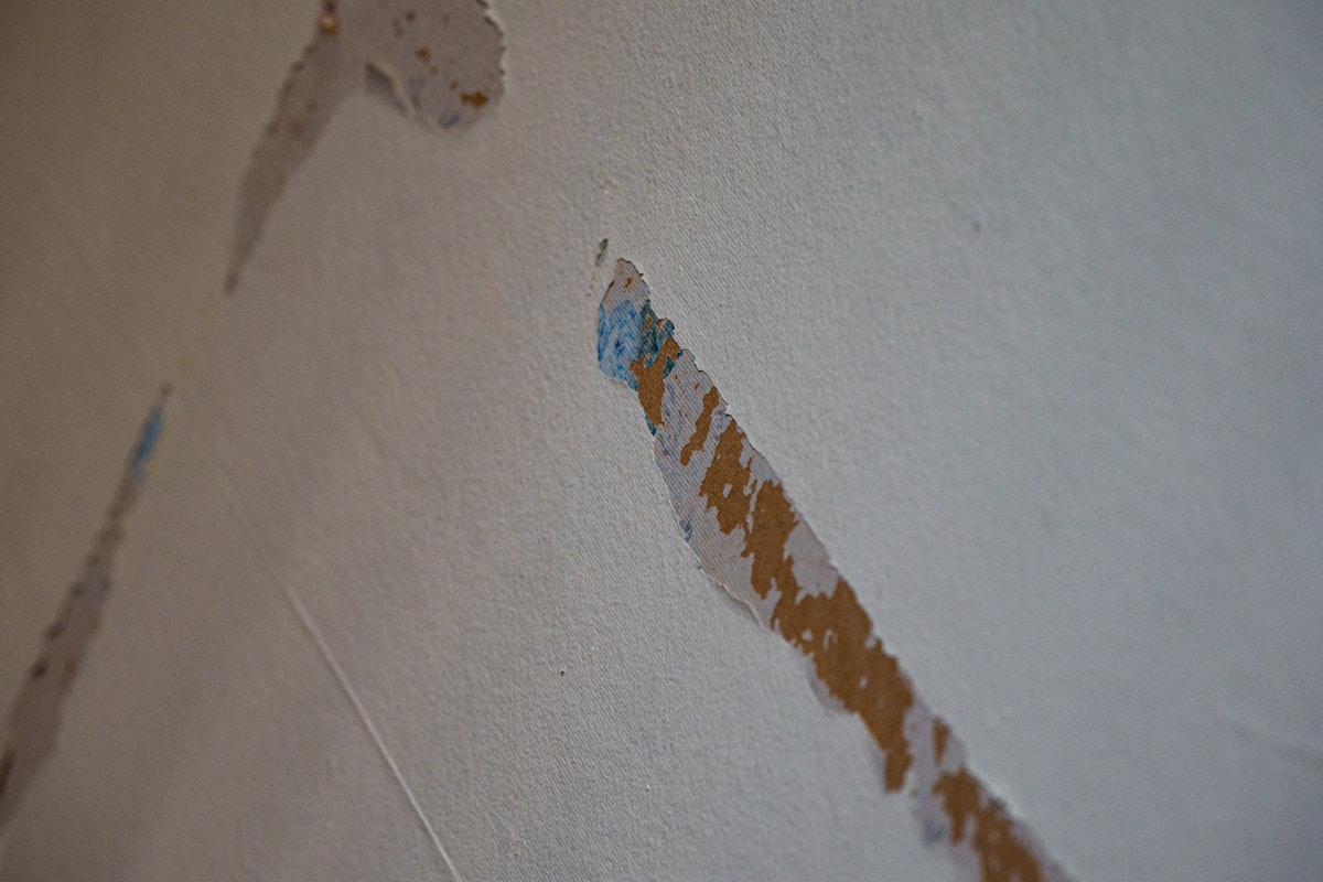 Mold Remediation service in Palm Coast, FL